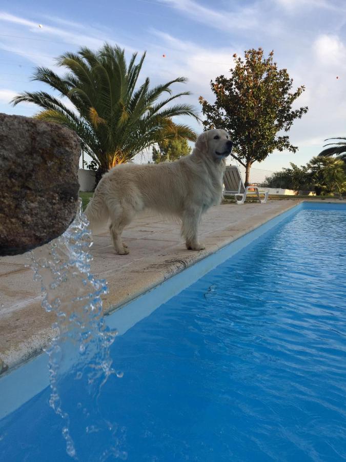 Moinho De Vento Villa Castelo Branco  Bagian luar foto